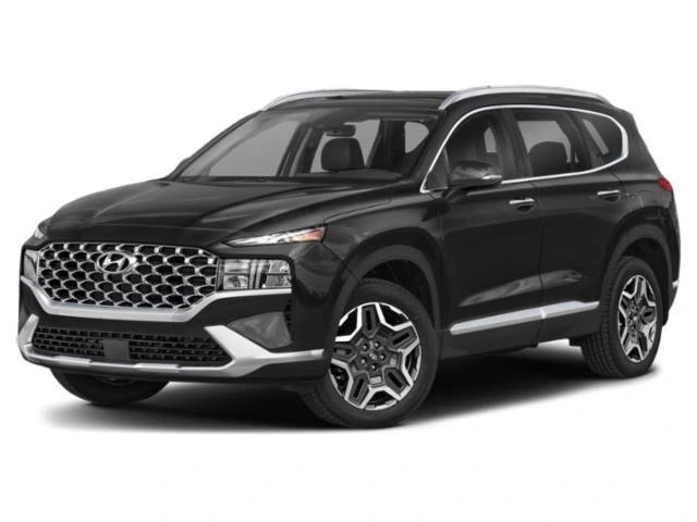 hyundai santa fe 2021 KM8S3DA15MU006448 image hyundai santa fe 2021 KM8S3DA15MU006448 image